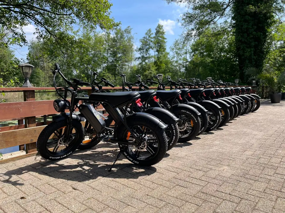 Rij elektrische fatbikes langs het water bij Giethoorn